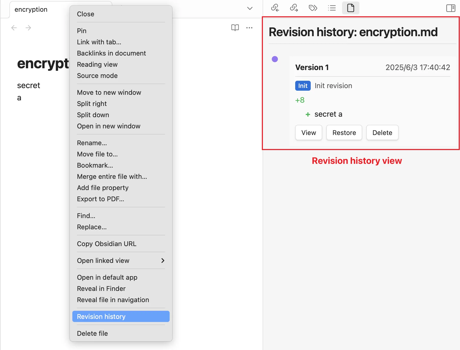 File Revision History